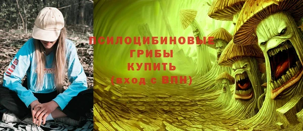 эйфоретик Богородск